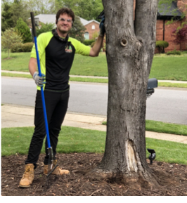 A person holding a shovel and leaning against a tree
